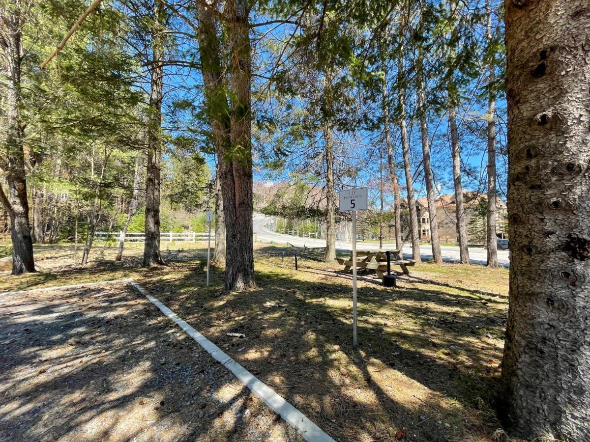 Appartement Complexe Livtremblant By Gestion Elite - Liv6 Mont-Tremblant